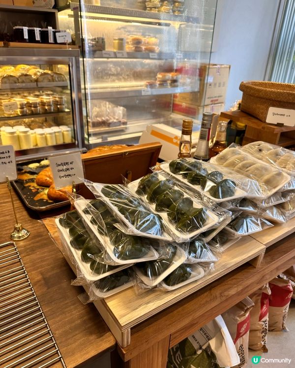 🇰🇷韓國濟州島大癲！艾草紅豆栗子包🌰🫘🌿