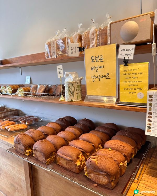 🇰🇷韓國濟州島大癲！艾草紅豆栗子包🌰🫘🌿