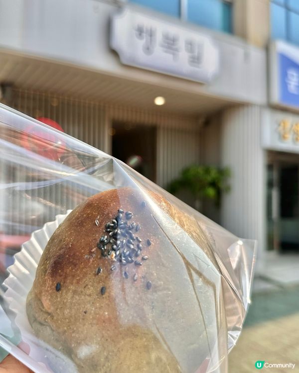 🇰🇷韓國濟州島大癲！艾草紅豆栗子包🌰🫘🌿