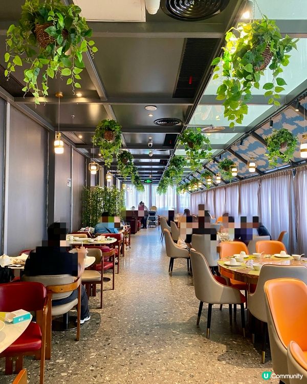 ✨深圳🇨🇳-⚠️💬好意頭撈雞⁉️💢花椒蝦竟..⁉️📍順意順德家鄉菜