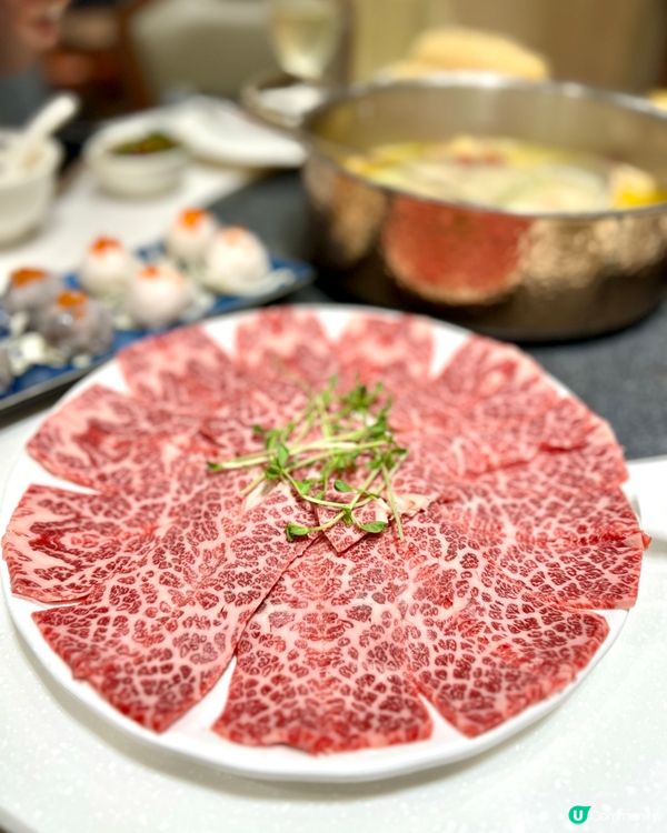 鍾爺爺海鮮火鍋刺身專門店