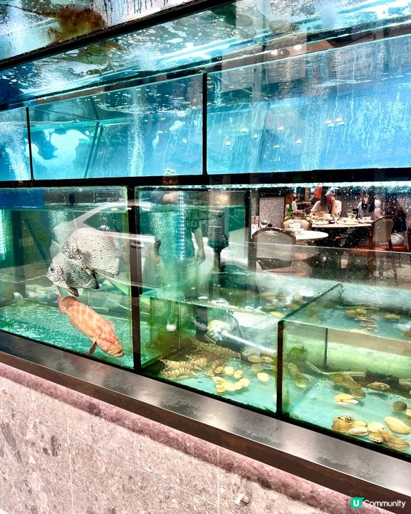 鍾爺爺海鮮火鍋刺身專門店