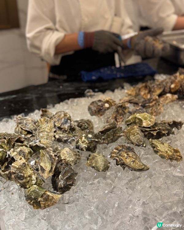 超人氣自助晚餐 💥任食藍鯨吞拿🐟