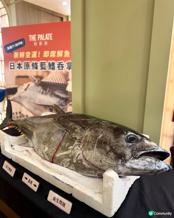 超人氣自助晚餐 💥任食藍鯨吞拿🐟