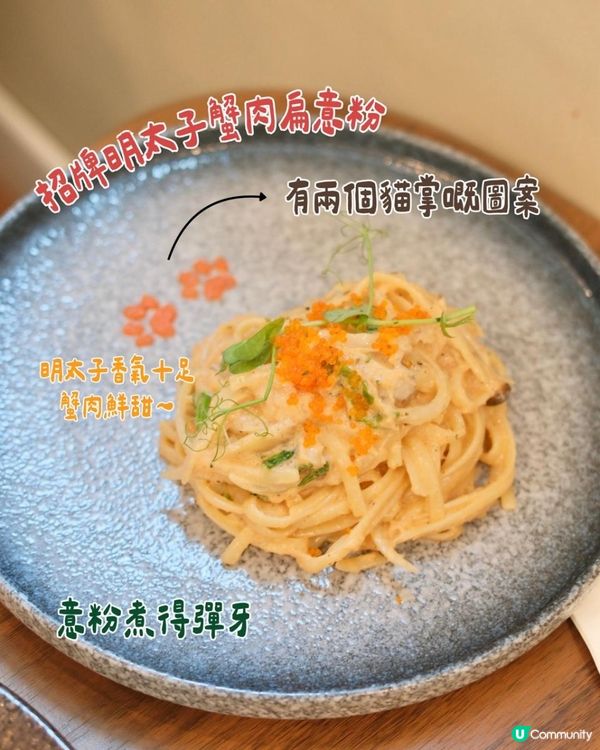 貓奴必去！旺角最chill貓咖體驗🐱