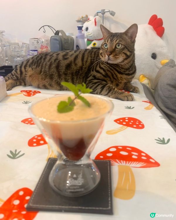 同孖家姐👭的創意料理及飲品 🥗🍝🍹🍸