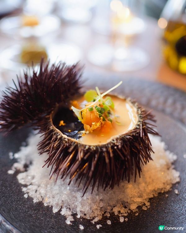 再訪復古圖書館風📚法式料理靚景餐廳Bochord 💗換上了新...