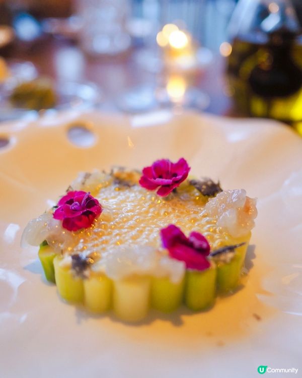 再訪復古圖書館風📚法式料理靚景餐廳Bochord 💗換上了新...