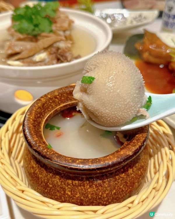 深圳羊肉天堂🐑本地人帶路食隱世全羊神店！