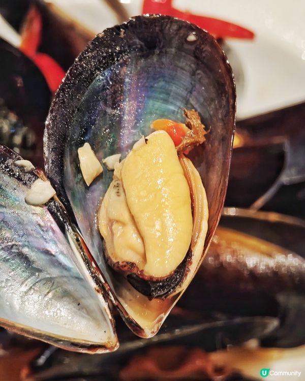 隱世👍高質🇫🇷法式🍽️風味