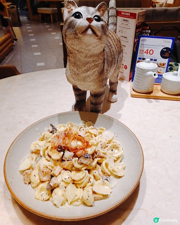 喵喵主題和洋料理😻