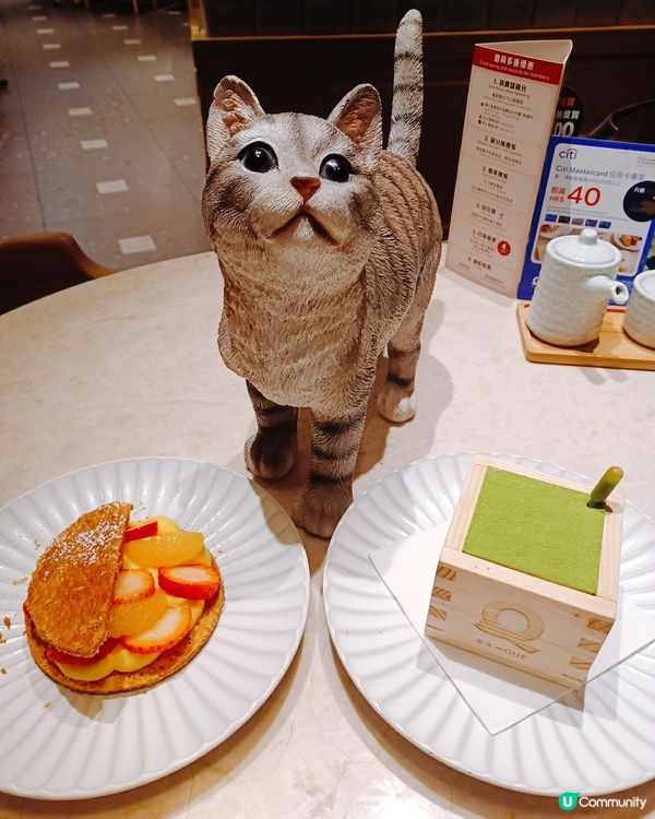 喵喵主題和洋料理😻