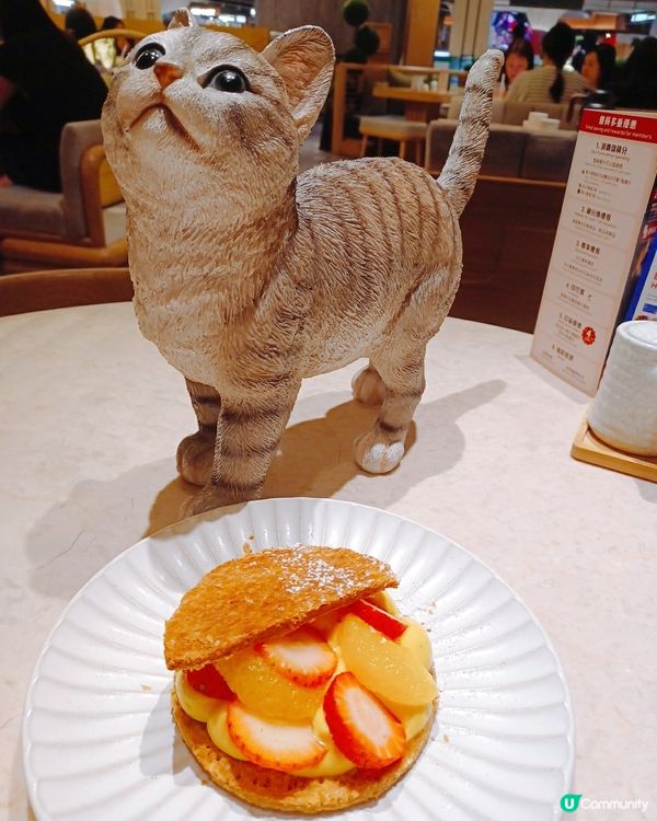 喵喵主題和洋料理😻