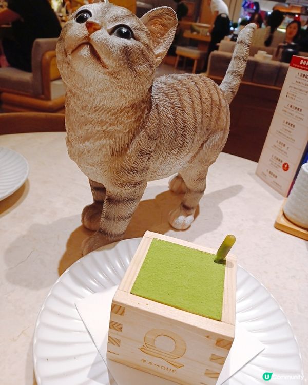 喵喵主題和洋料理😻