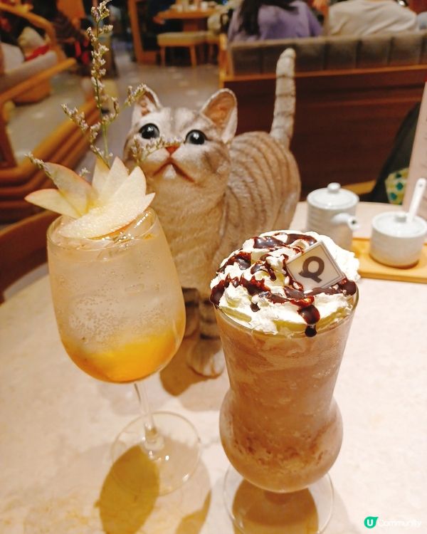 喵喵主題和洋料理😻