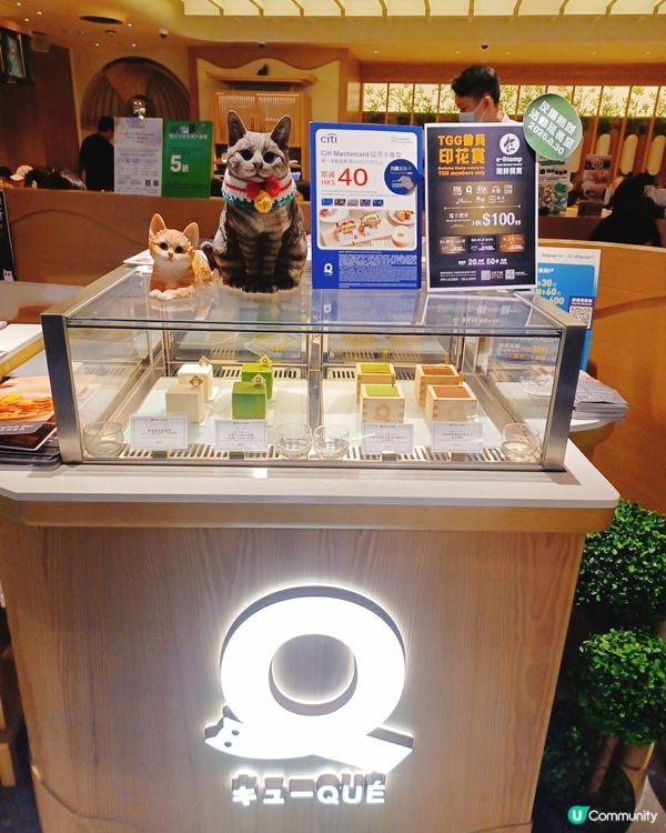 喵喵主題和洋料理😻