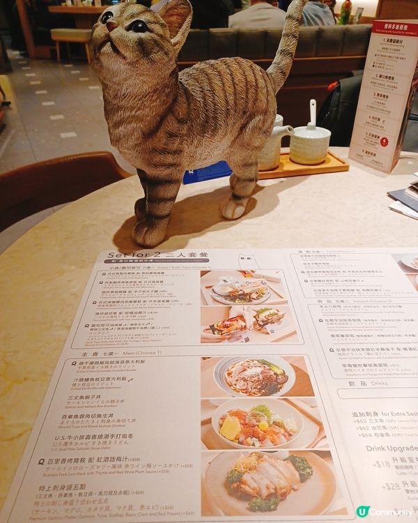 喵喵主題和洋料理😻