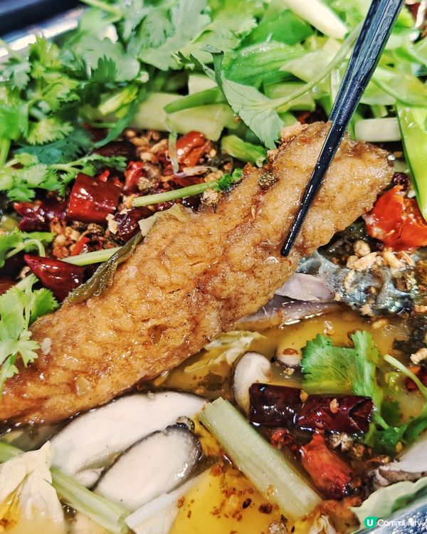 超抵💰大閘蟹🦀菜式🐟烤魚🐓雞煲🍲放題