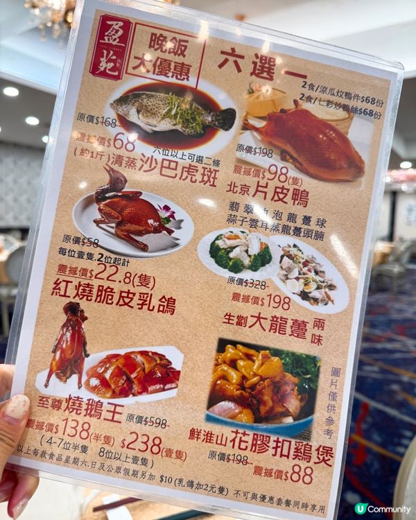 【土瓜灣 ✦ 盈苑海鮮酒家🫖超抵食晚市🦞😍💫】