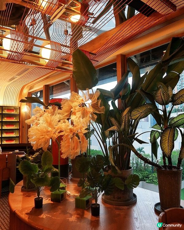 荃灣打卡新地標！香江花月復古風🔥