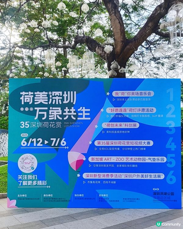 🌸我愛花花🌸🪷洪湖公園荷花節🪷  快D去打卡啦！