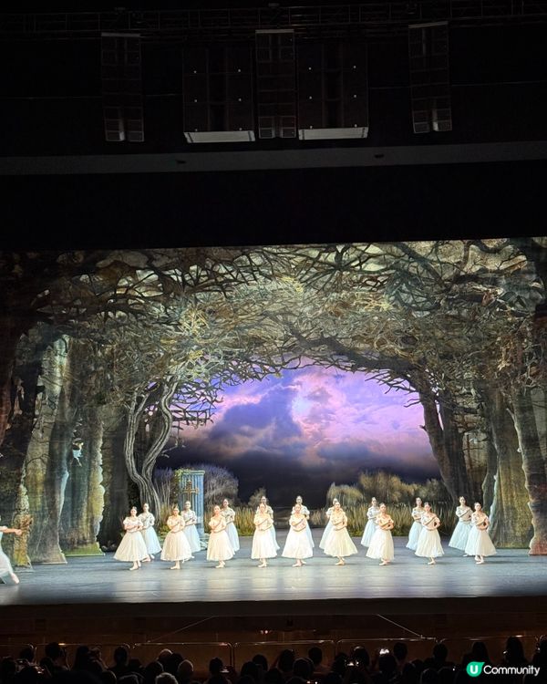 《吉爾賽》 -她的浪漫芭蕾舞故事