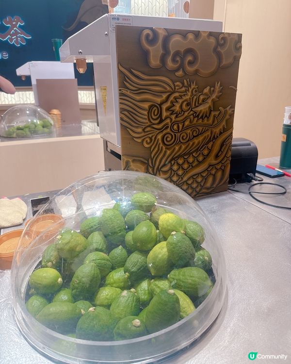 深圳🍋麒麟大口茶試飲報告！