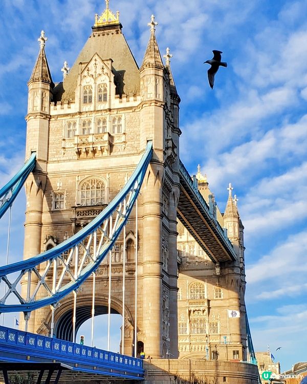 欣賞倫敦塔橋打卡好地方📸 夕陽美景醉人🌇