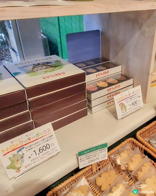 🔥東京朝聖地🔥吞龍貓落肚😱⁉️超可愛‼️🍰