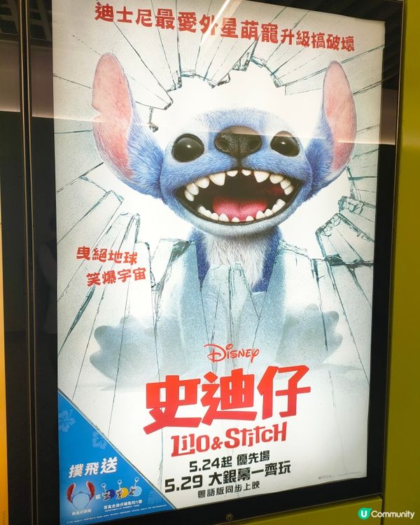 史迪仔地鐵燈箱😍 香港大學站打卡點！📷