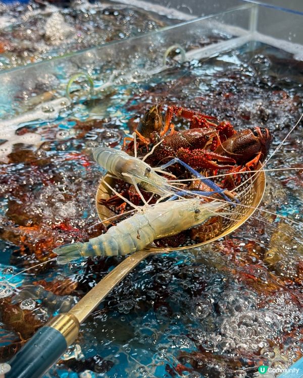 坂田萬科廣場一日遊 🛍️🤩