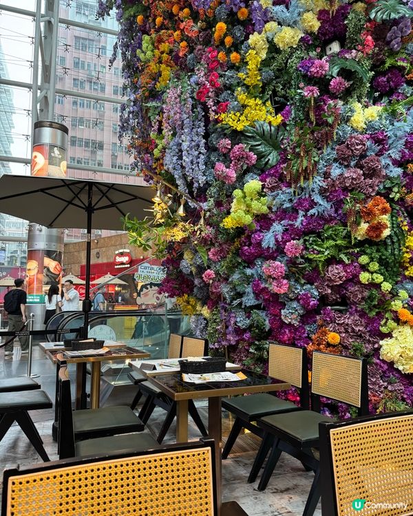 朗豪坊 超好飲🥥椰奶漸層宇治抹茶🍵