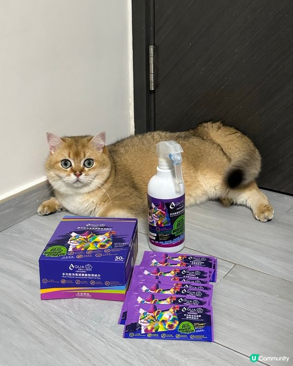 🐈‍⬛貓奴必備！除臭神器！💨