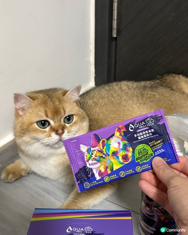 🐈‍⬛貓奴必備！除臭神器！💨