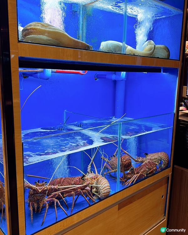 銅鑼灣｜靚靚畫碟💕CP值高居酒屋