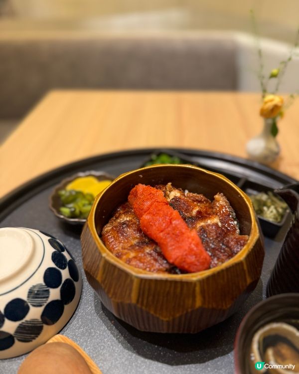 日本🇯🇵過江龍 烤鰻魚來左銅鑼灣😍