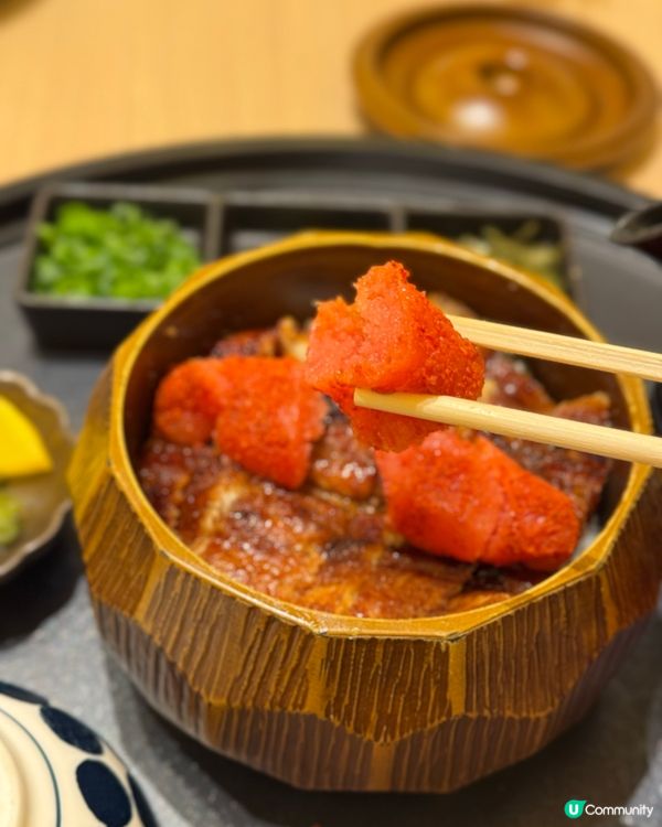 日本🇯🇵過江龍 烤鰻魚來左銅鑼灣😍