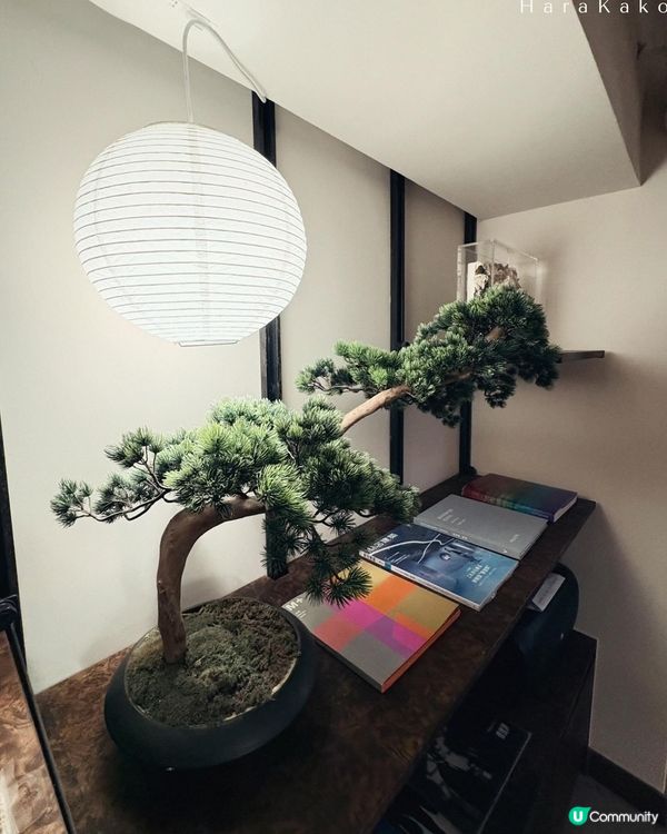 I人必去cafe 寧靜氛圍,悠閑自然