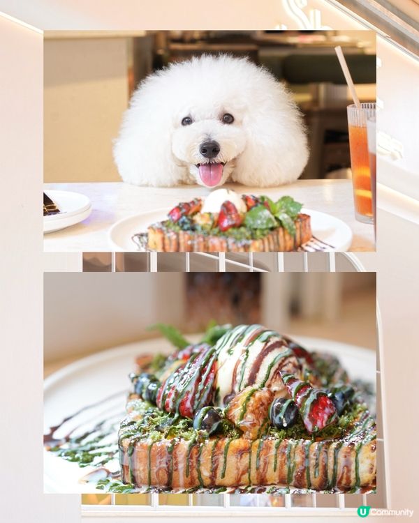 真實食評 甜品還好 意粉唔合格。