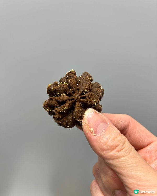 經過都會買嘅香脆香港手信曲奇餅