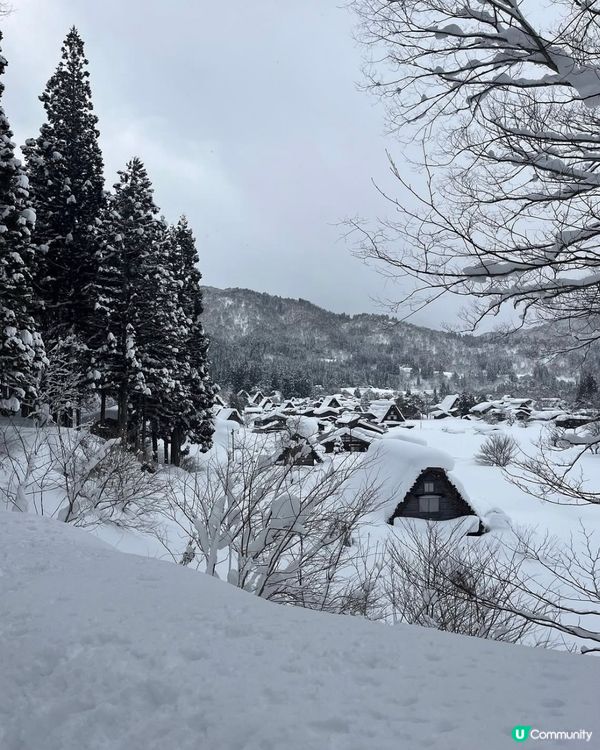 ❄️銀白雪景的童話世界🗻