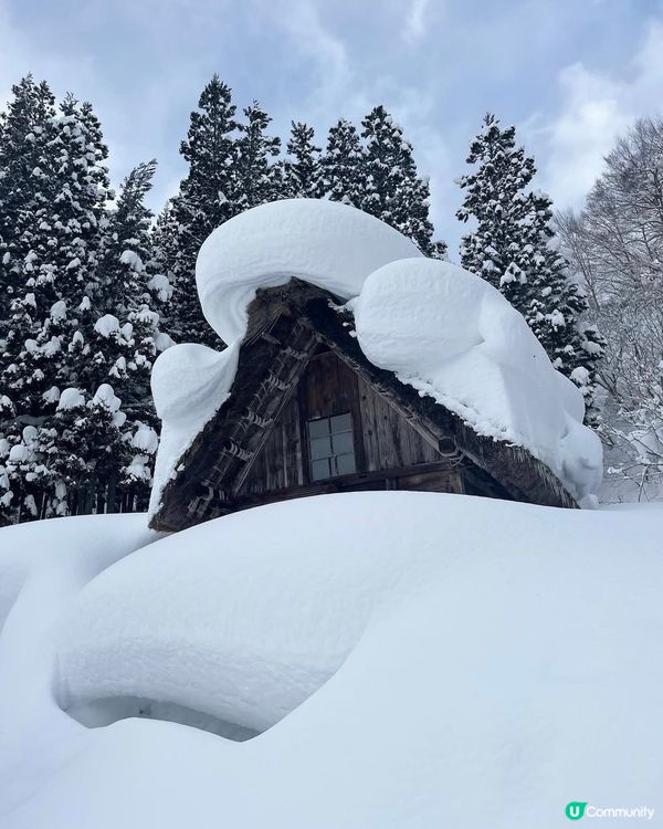 ❄️銀白雪景的童話世界🗻