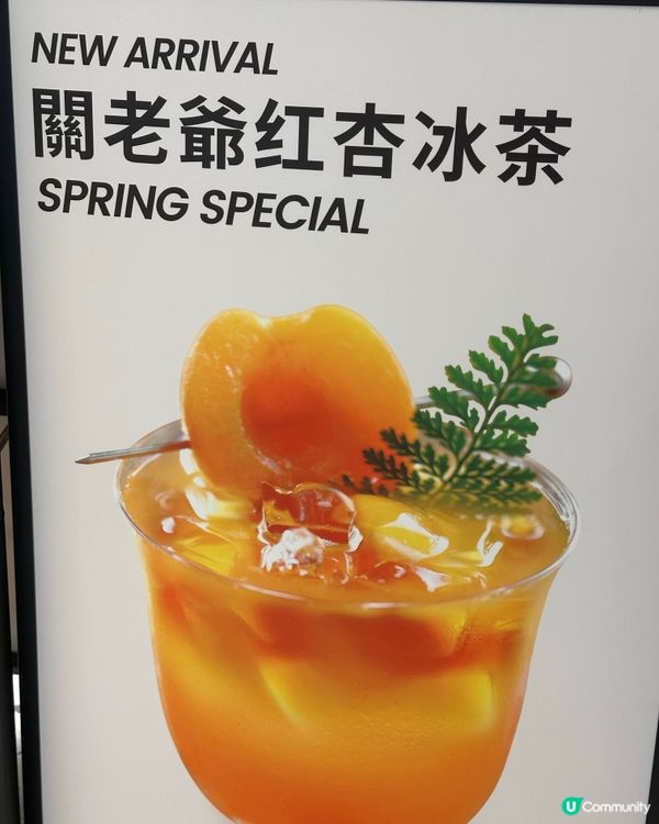 茶飲店 - 推介之選