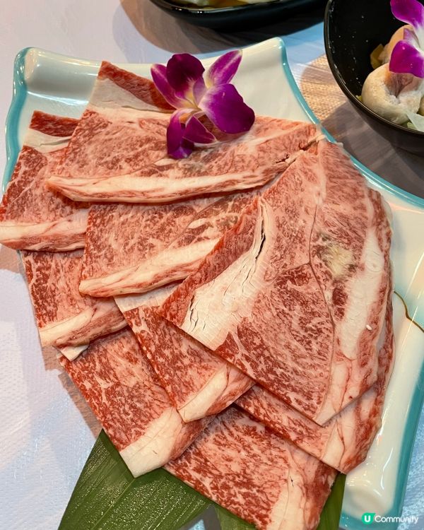 滋寶花膠雞鍋底 滿足 . 尖沙咀 港式火鍋