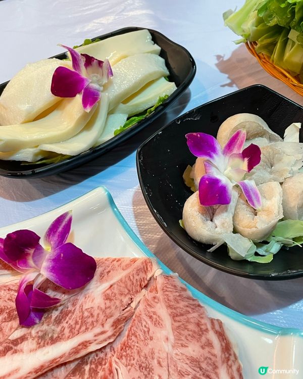 滋寶花膠雞鍋底 滿足 . 尖沙咀 港式火鍋