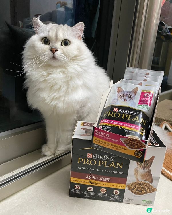 🐱挑食貓貓都愛食！🤤  濕糧包包大推介！