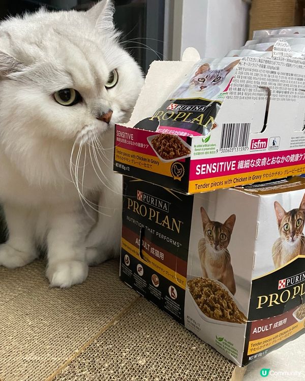 🐱挑食貓貓都愛食！🤤  濕糧包包大推介！