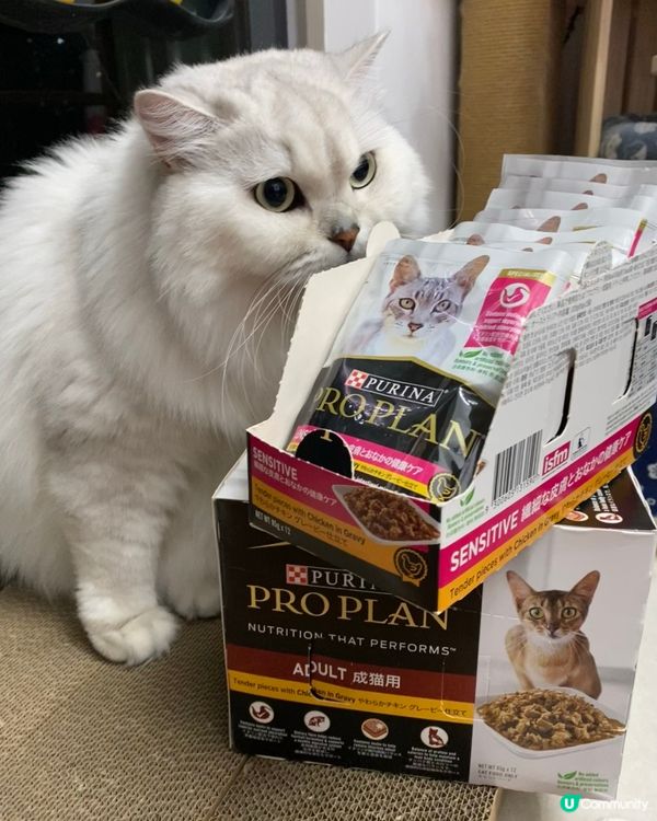 🐱挑食貓貓都愛食！🤤  濕糧包包大推介！