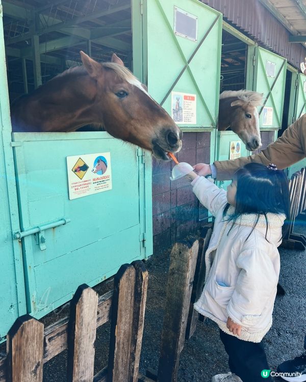 東京｜Mother Farm (觀光篇)