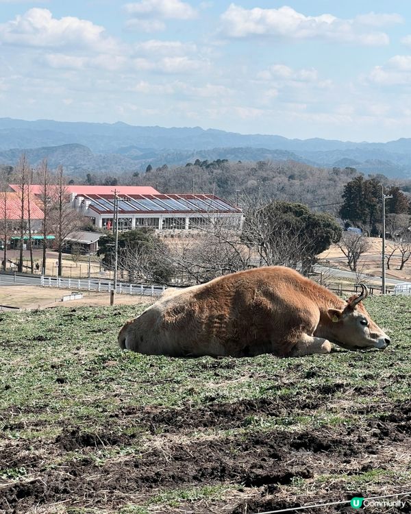東京｜Mother Farm (觀光篇)